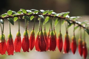 深圳福田区2私人快速借钱网，轻松解决资金难题