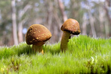 深圳福田区2私人老板放款：轻松融资的秘密通道